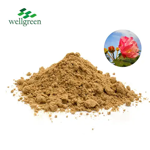 Hibiscus Flower Extract Powder